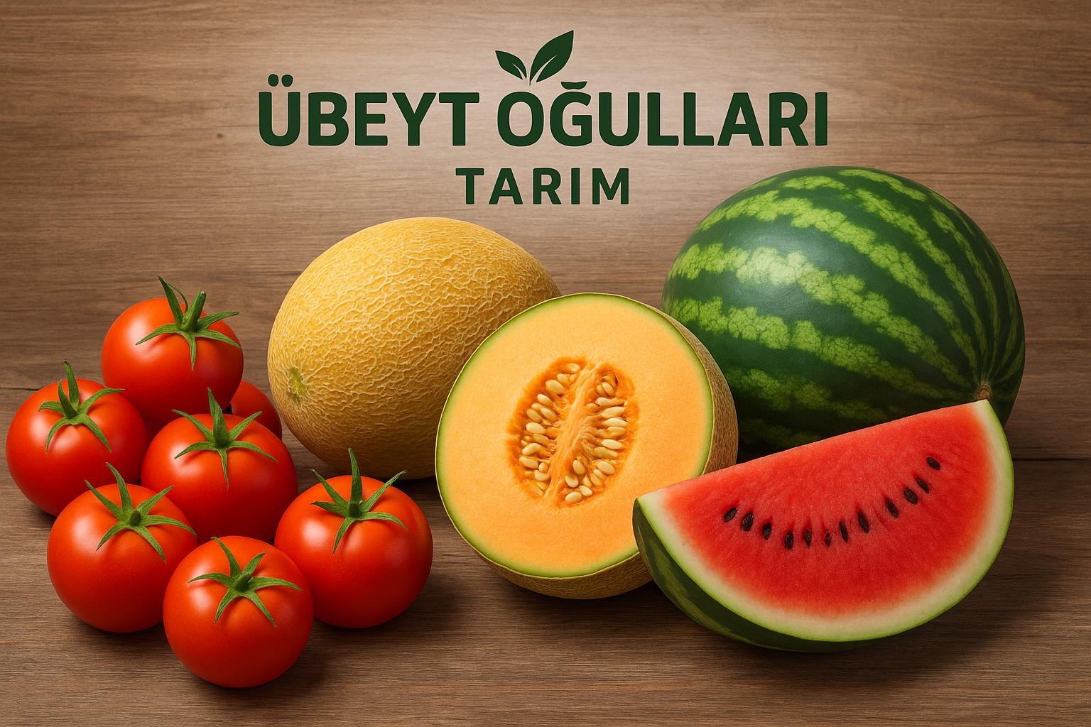 Verimli Topraklardan Yüksek Kapasiteli Üretime